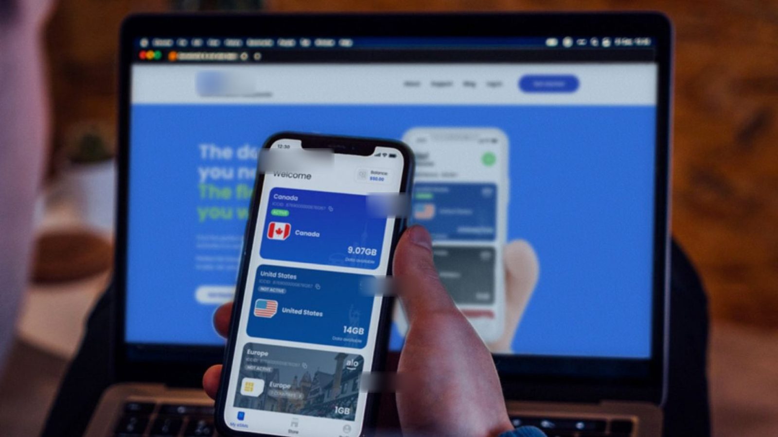 Roaming eCommerce Portal interface preview